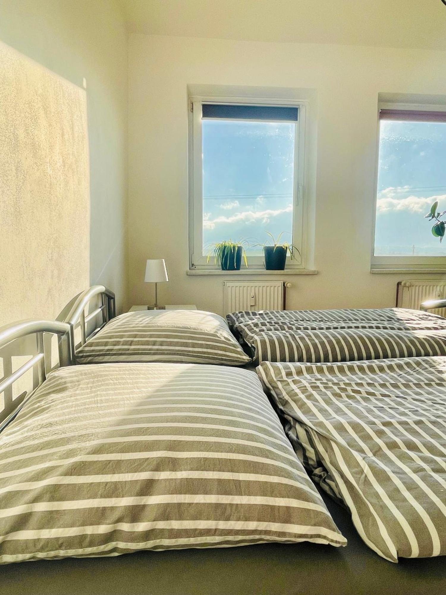 "Mts-Haus Zettemin" - 2 Familienfreundliche Ferienwohnungen In Mecklenburg Εξωτερικό φωτογραφία